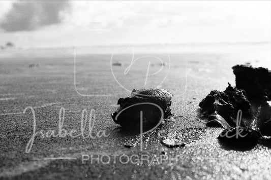 Lonely