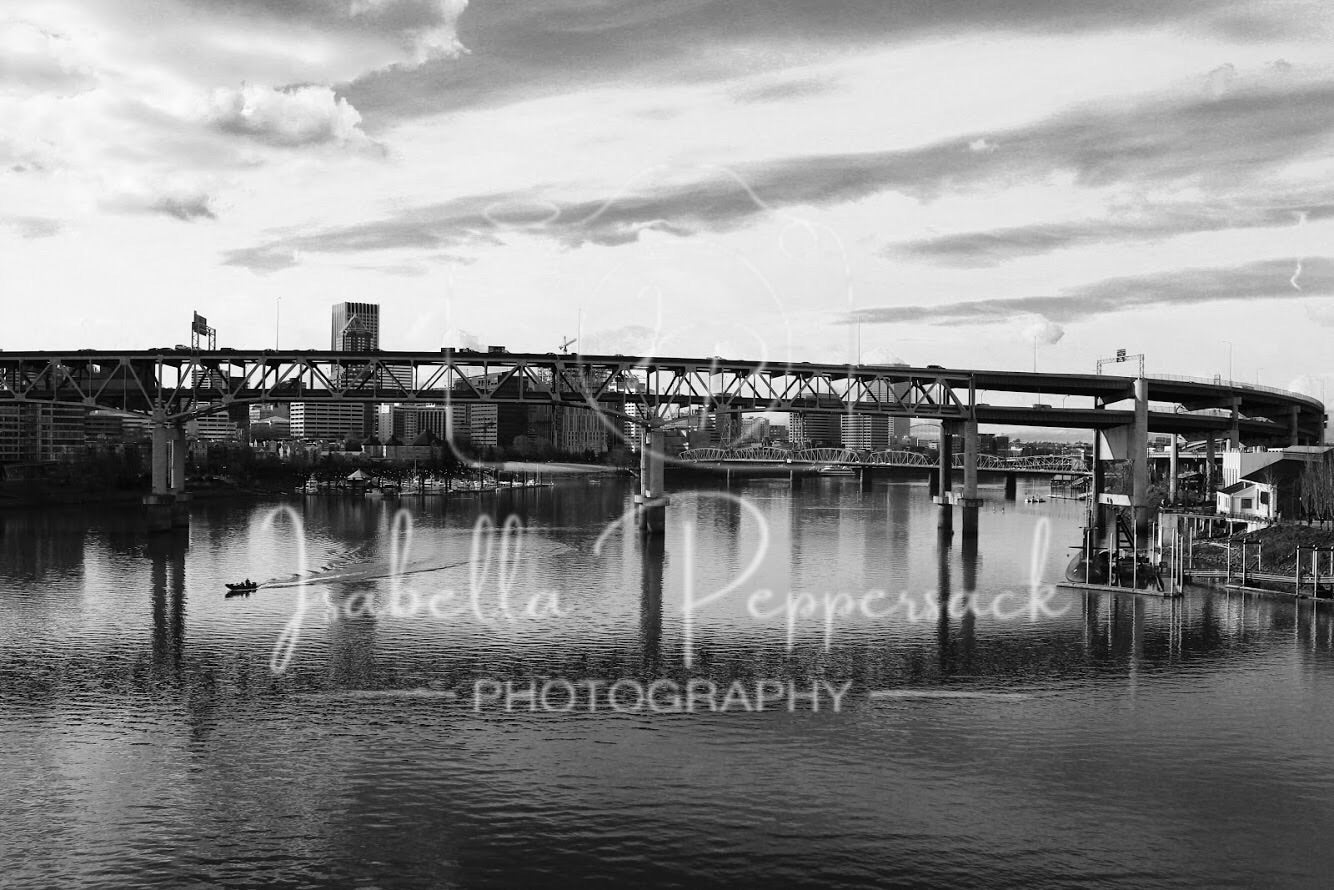 Portland Bridge
