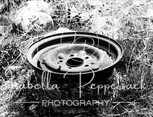 Old Tire Rim