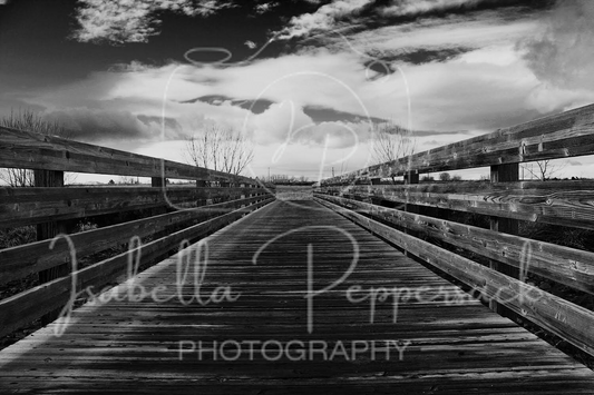 The Path Forward