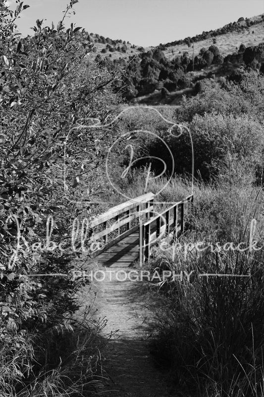 Hidden Bridge