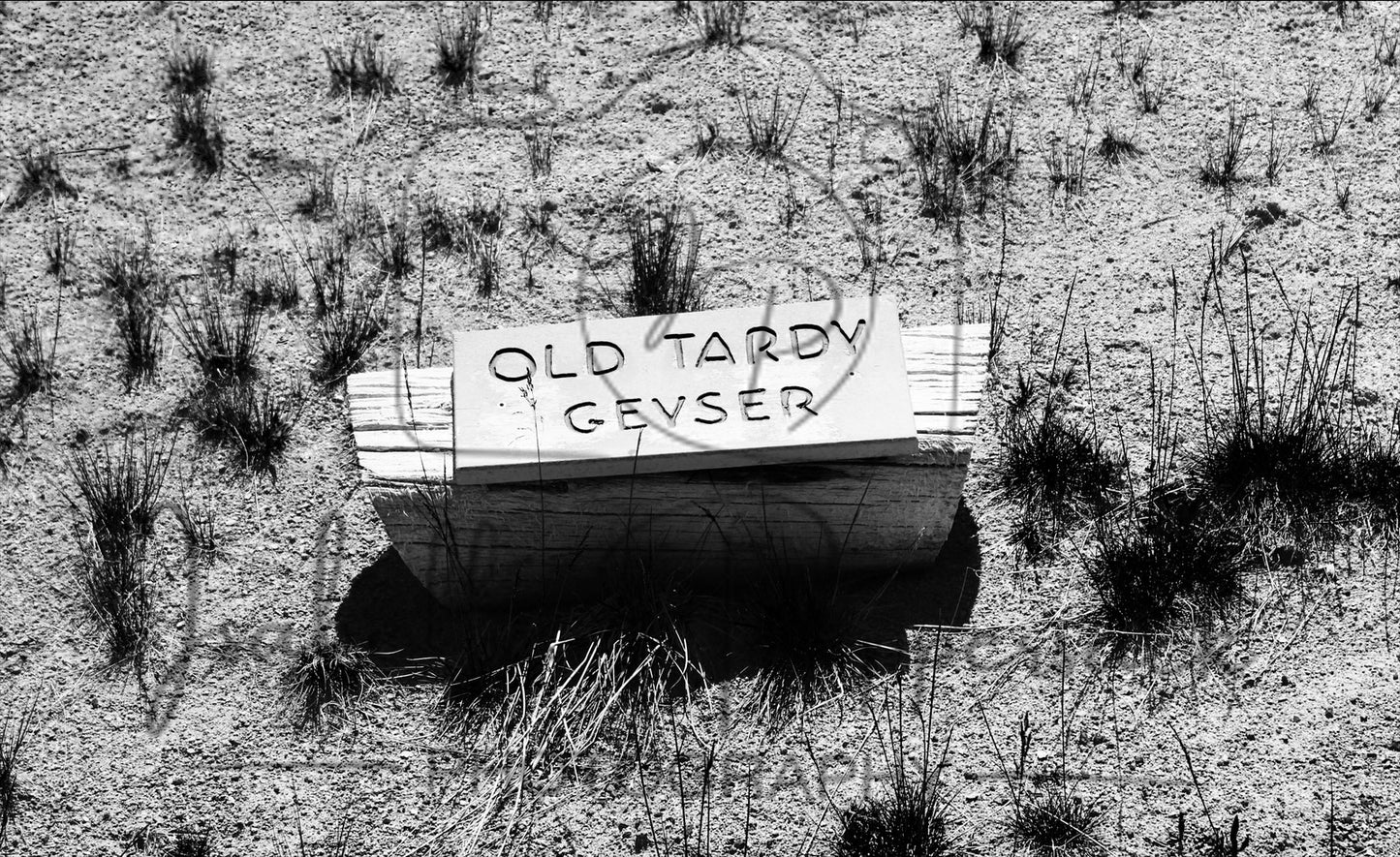 Old Tardy