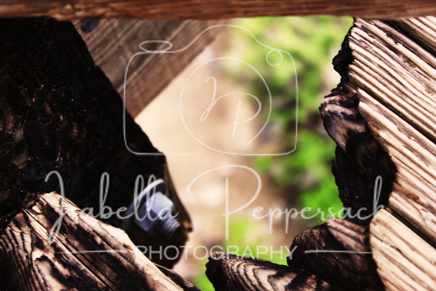 Hole in the Wood