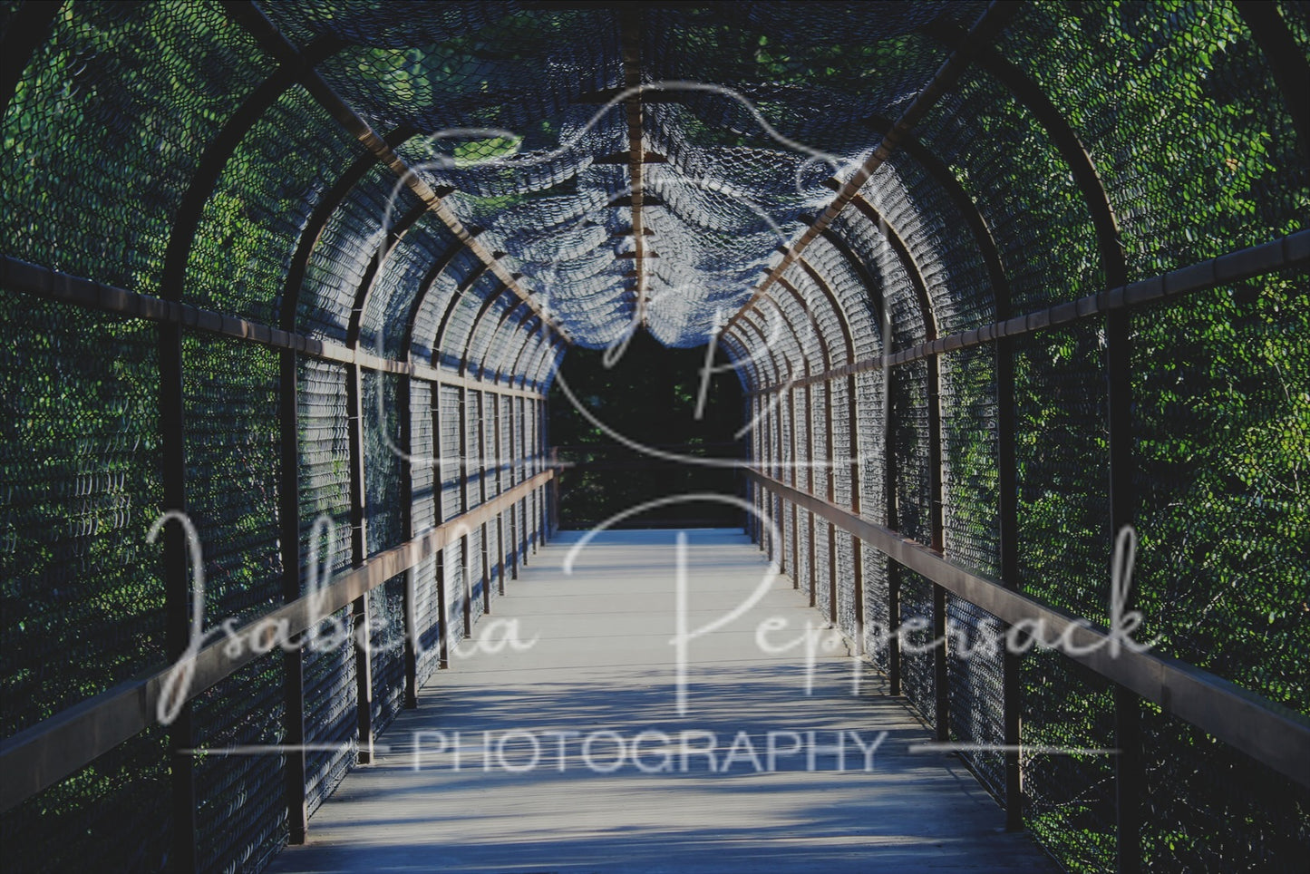 Through the Tunnel