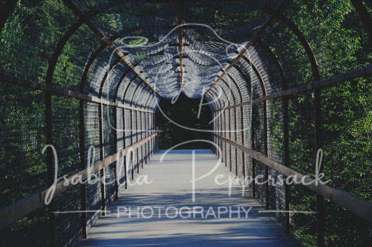 Through the Tunnel