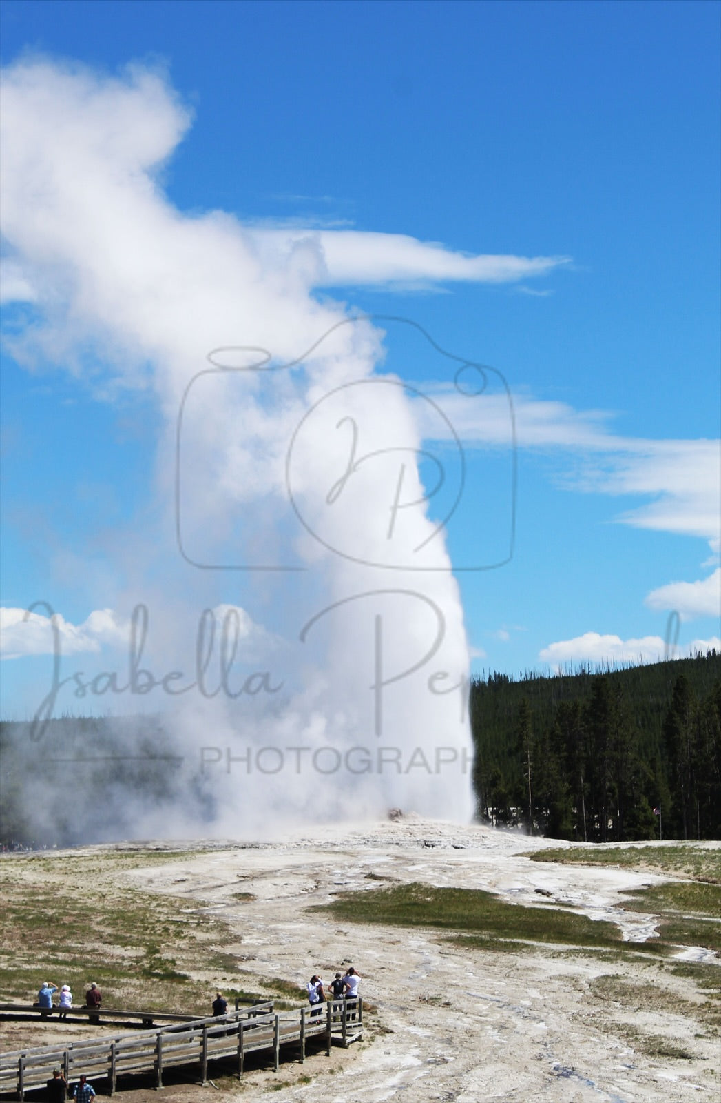 Old Faithful