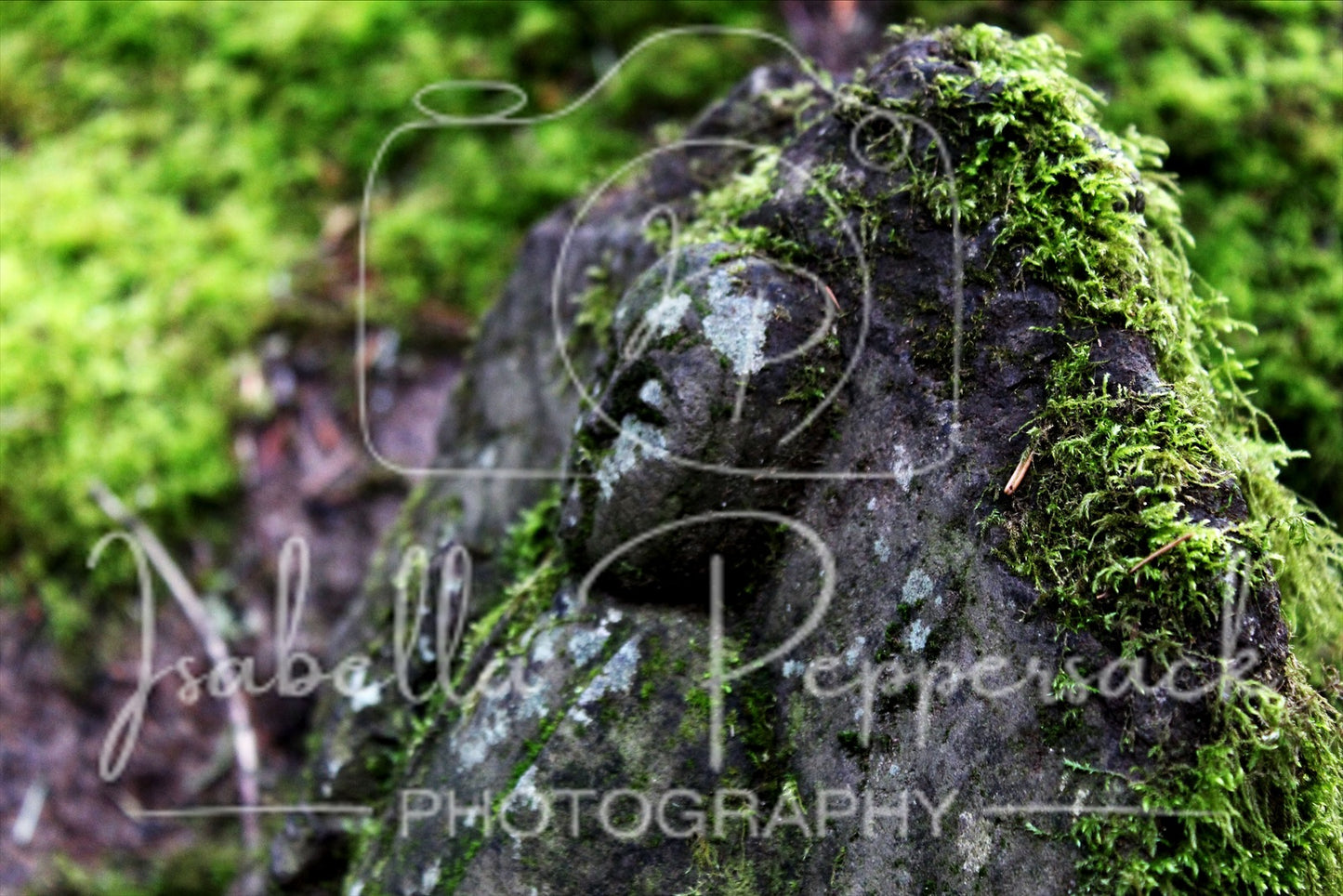 Old Statue