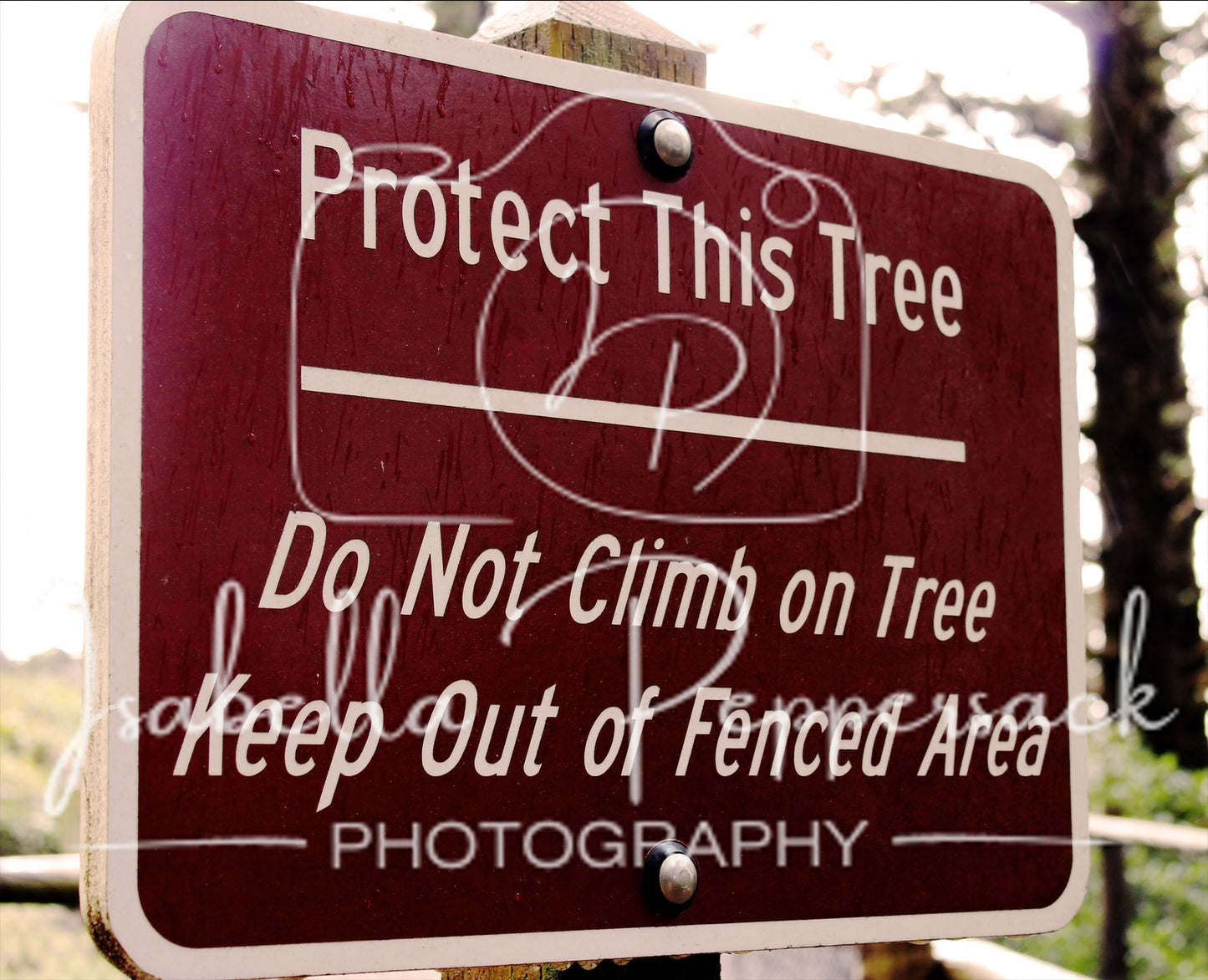 Protect This Tree