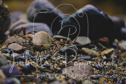 The Colorful Sand