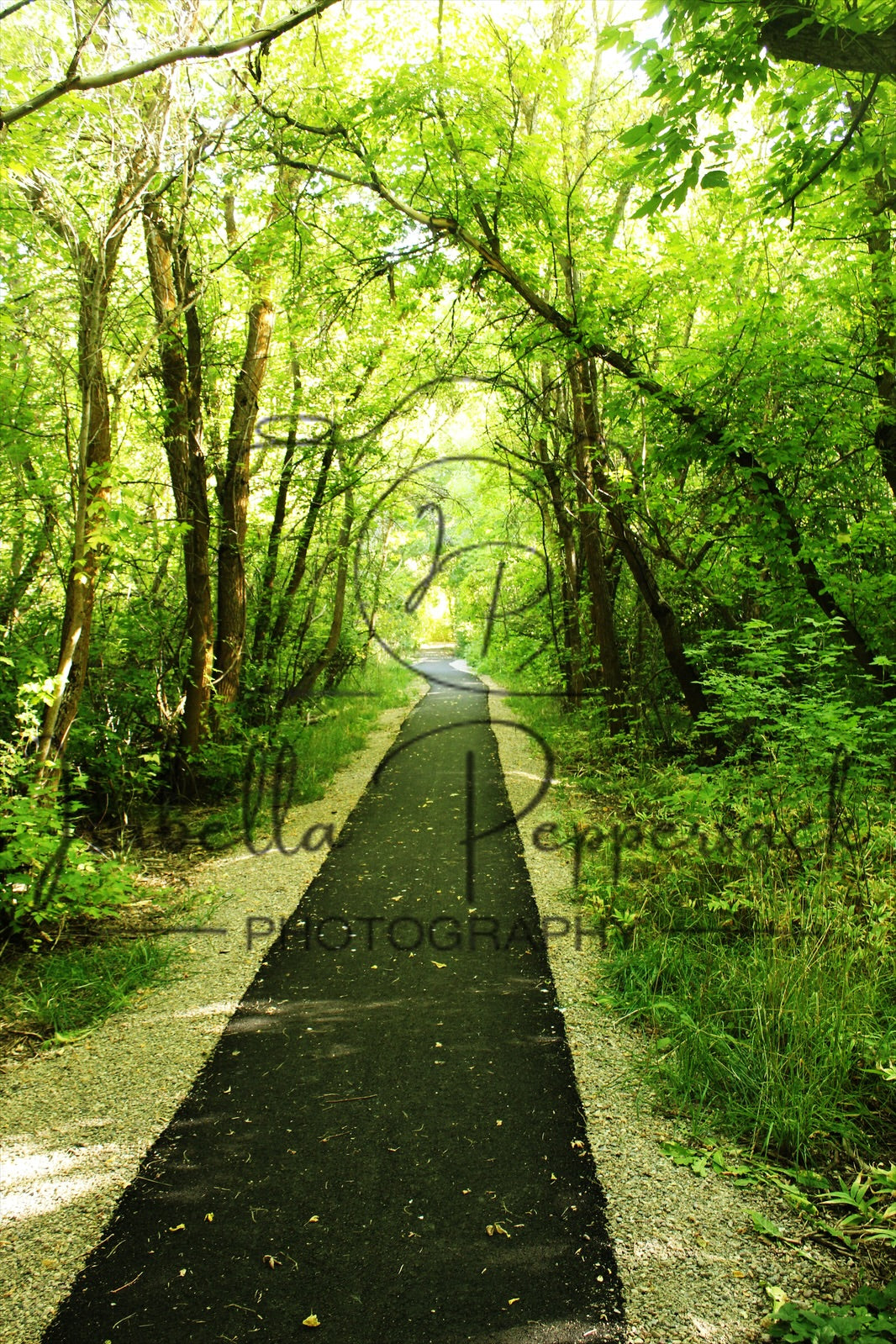 The Path to Wonders