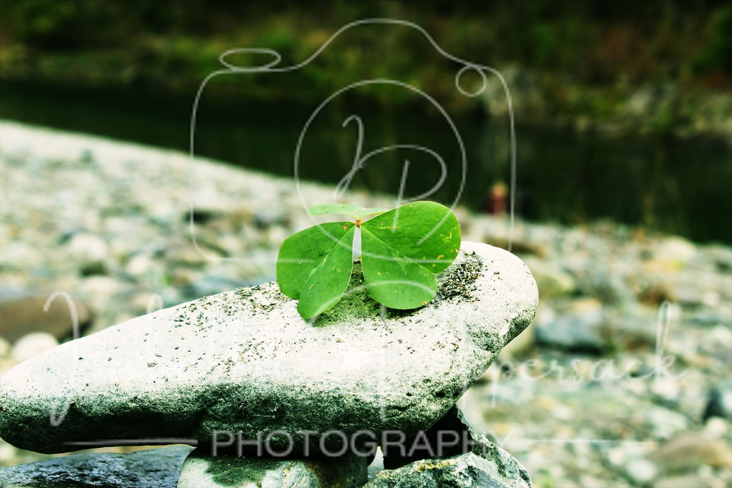 Vibrant Green Clover