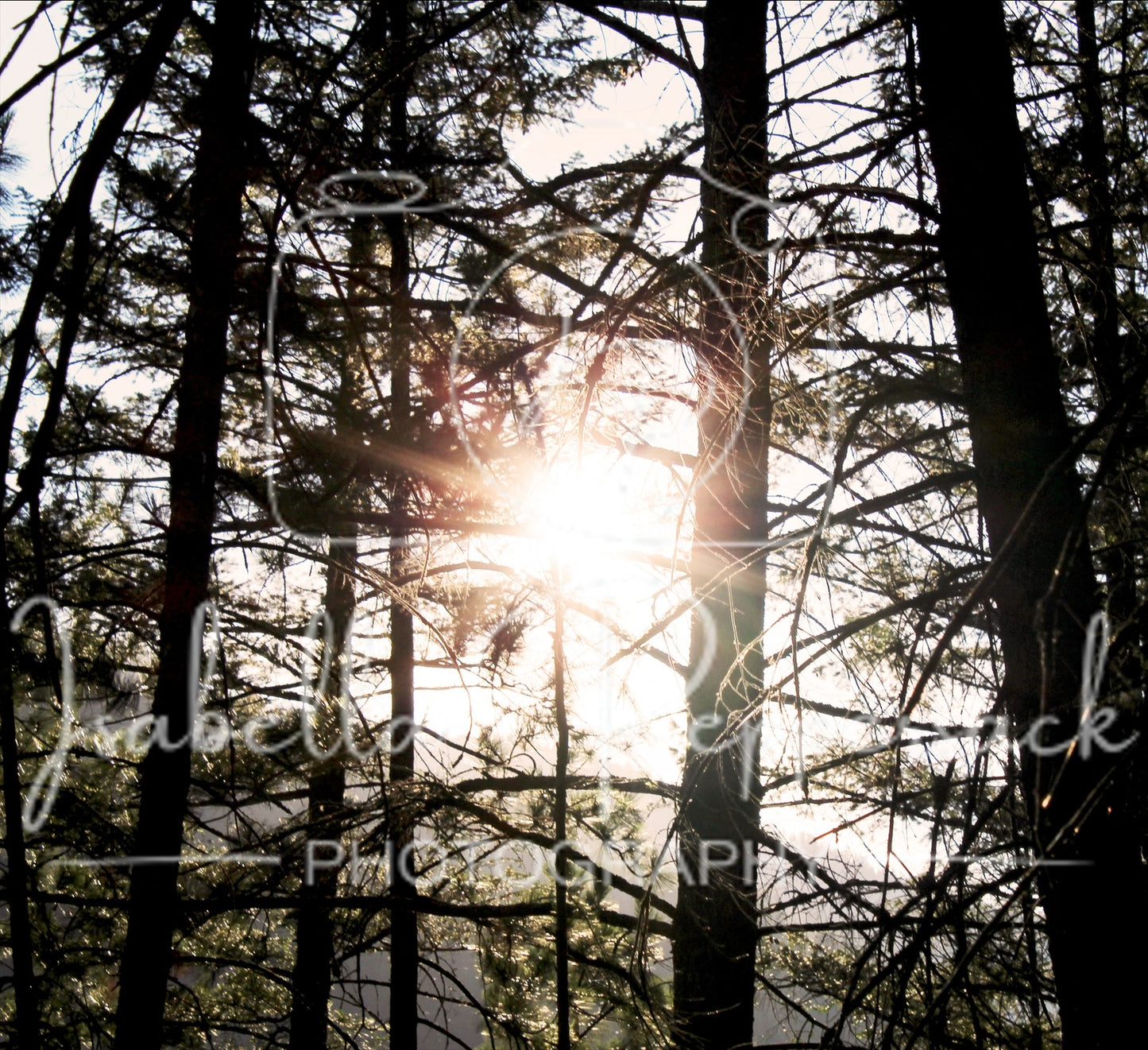 Sun Looking Through