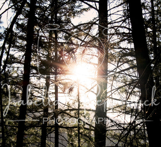 Sun Looking Through