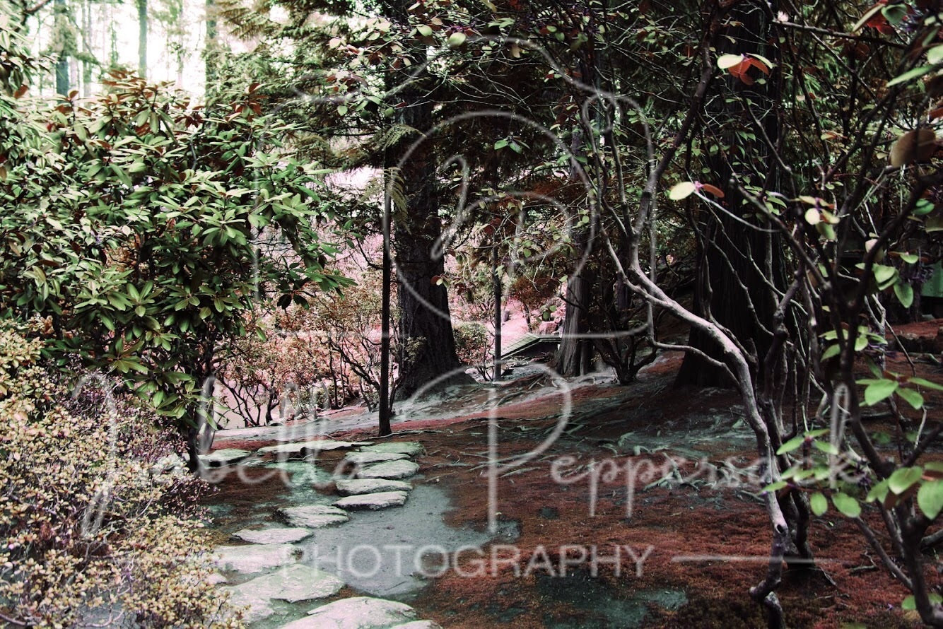 Portland Japanese Garden