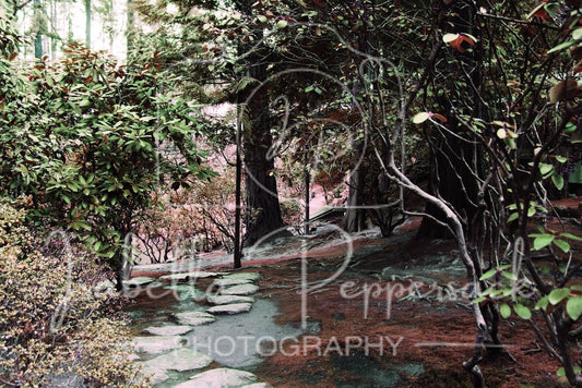 Portland Japanese Garden
