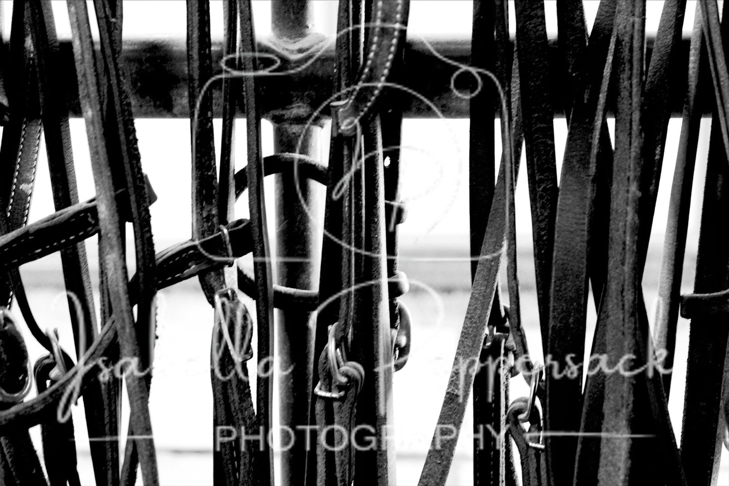 Horse Bridles