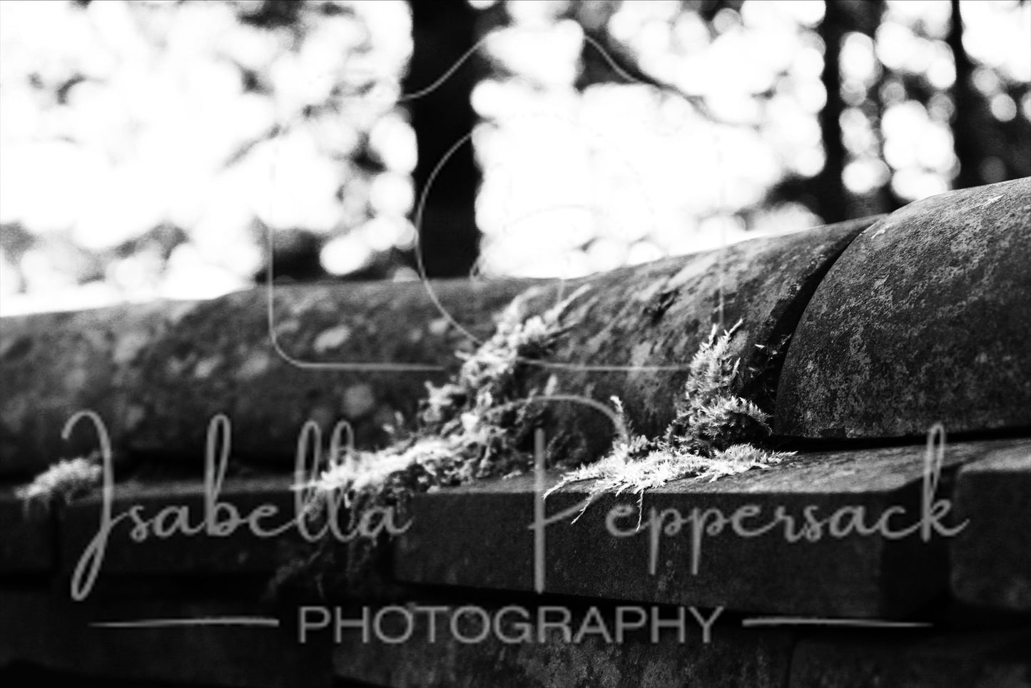 Old Wall