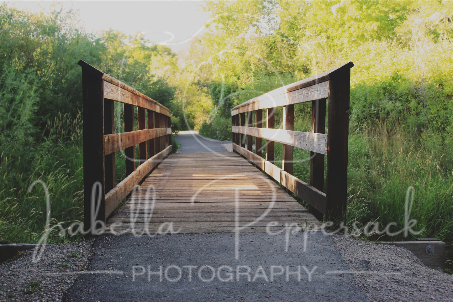 Bridge to Nature