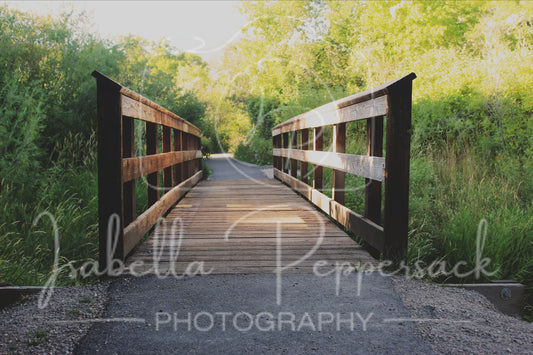 Bridge to Nature