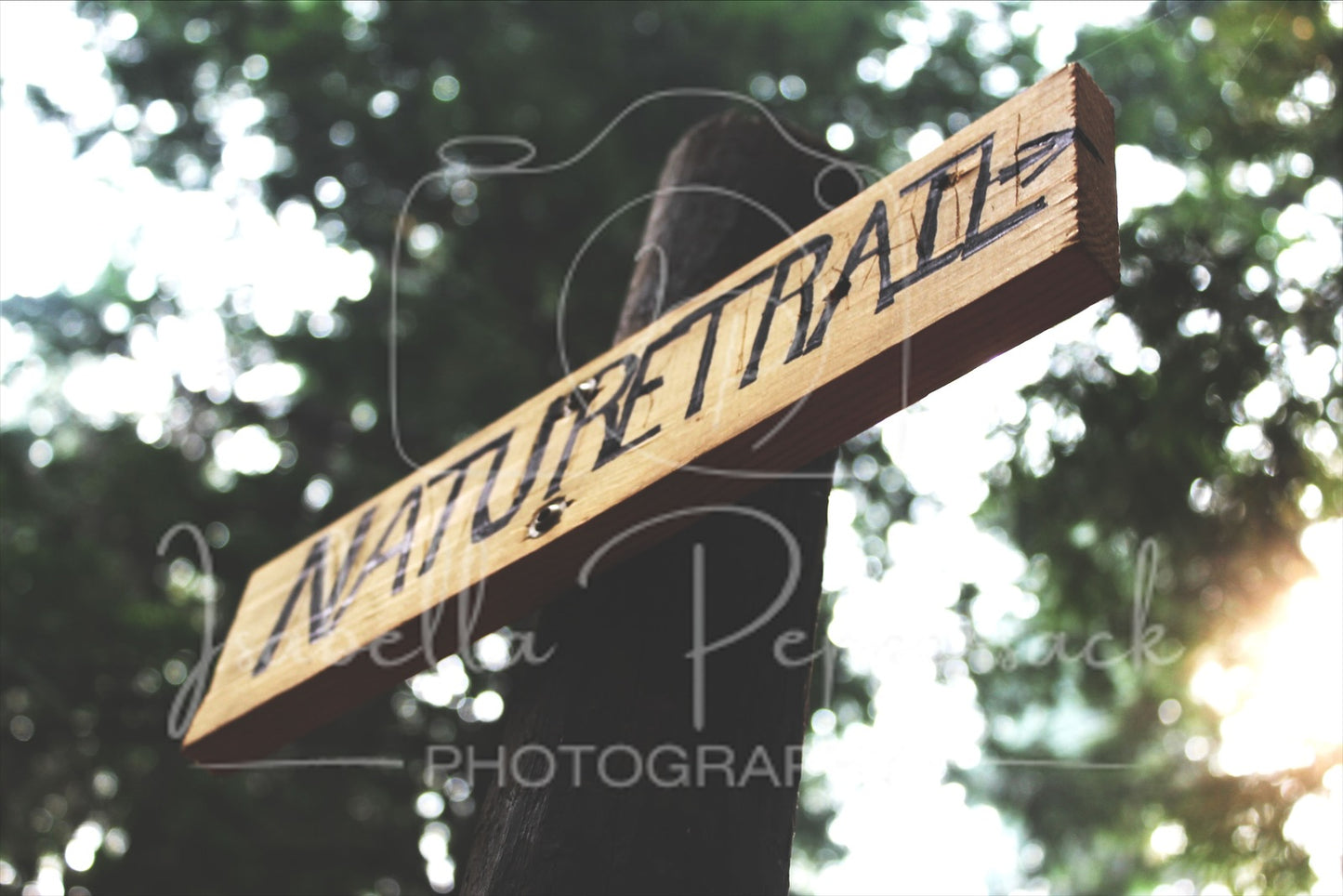 Nature Trail