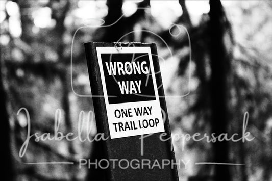 Wrong Way