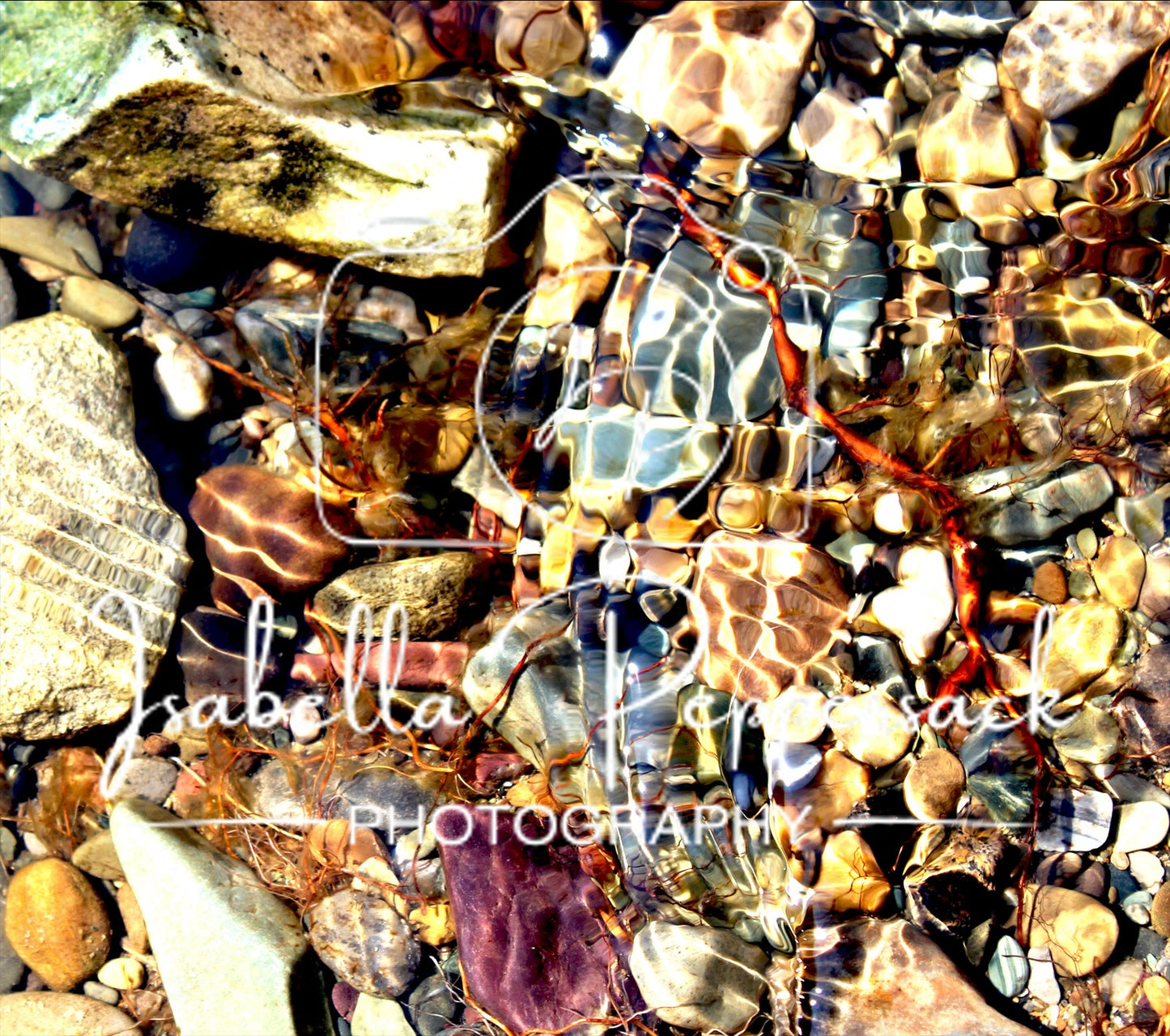 Shallow Rocks