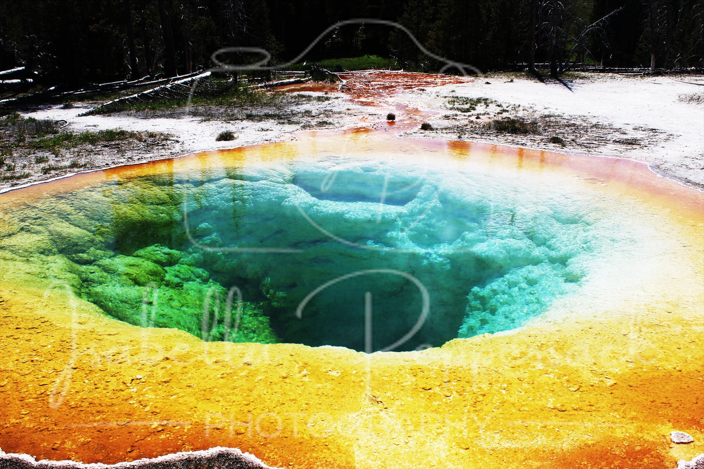 Morning Glory Pool