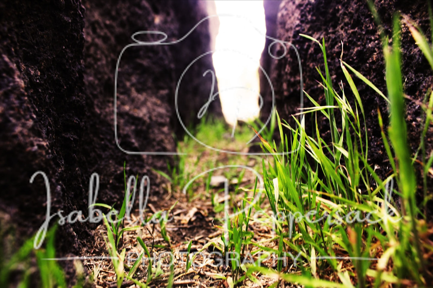 Fairy Path