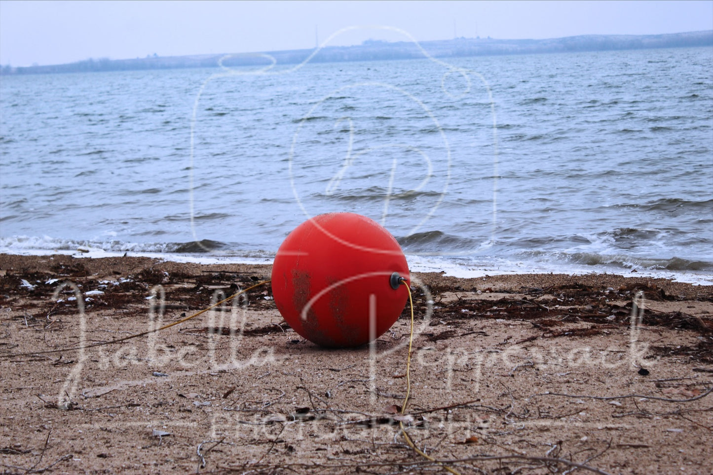 Red Buoy