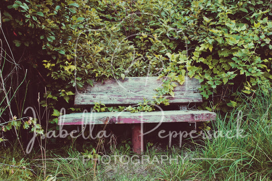 The Hidden Bench