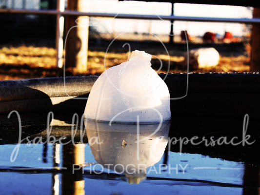 Floating Bottle