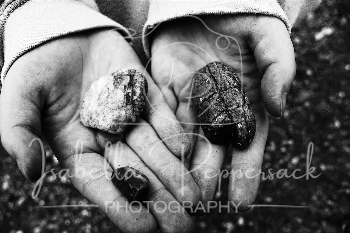 A Rock Collector