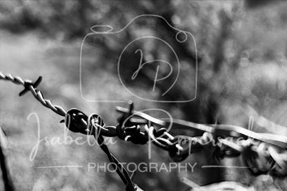 Barbed Fence
